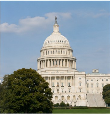 American Government